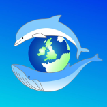 Make a donation to Sea Watch Foundation, The Cetacean Monitoring Unit
