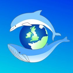 Sea Watch Foundation, The Cetacean Monitoring Unit